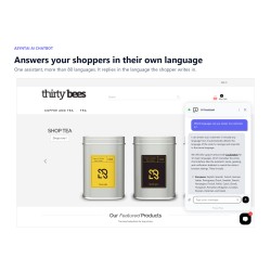Asyntai AI Chatbot