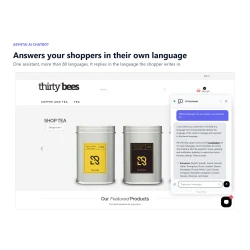 Asyntai AI Chatbot